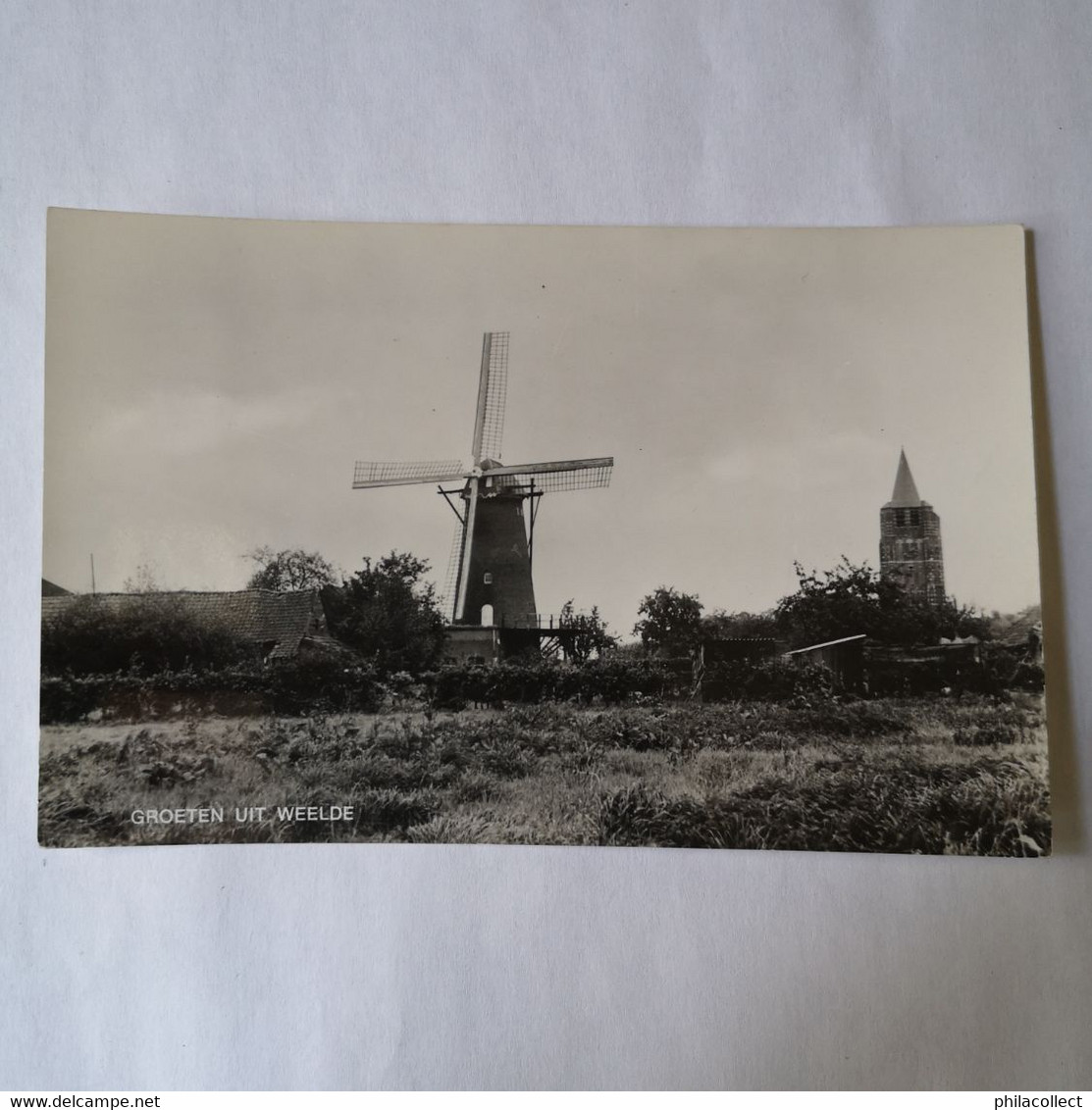 Weelde (Ravels) Groeten Uit (Molen - Moulin) 1969 - Ravels