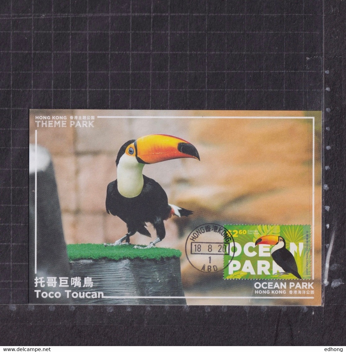 [Carte Maximum / Maximum Card /  Maximumkarte] Hong Kong 2020 | Ocean Park, Toco Toucan - Aberdeen First Day Postmarking - Maximumkaarten