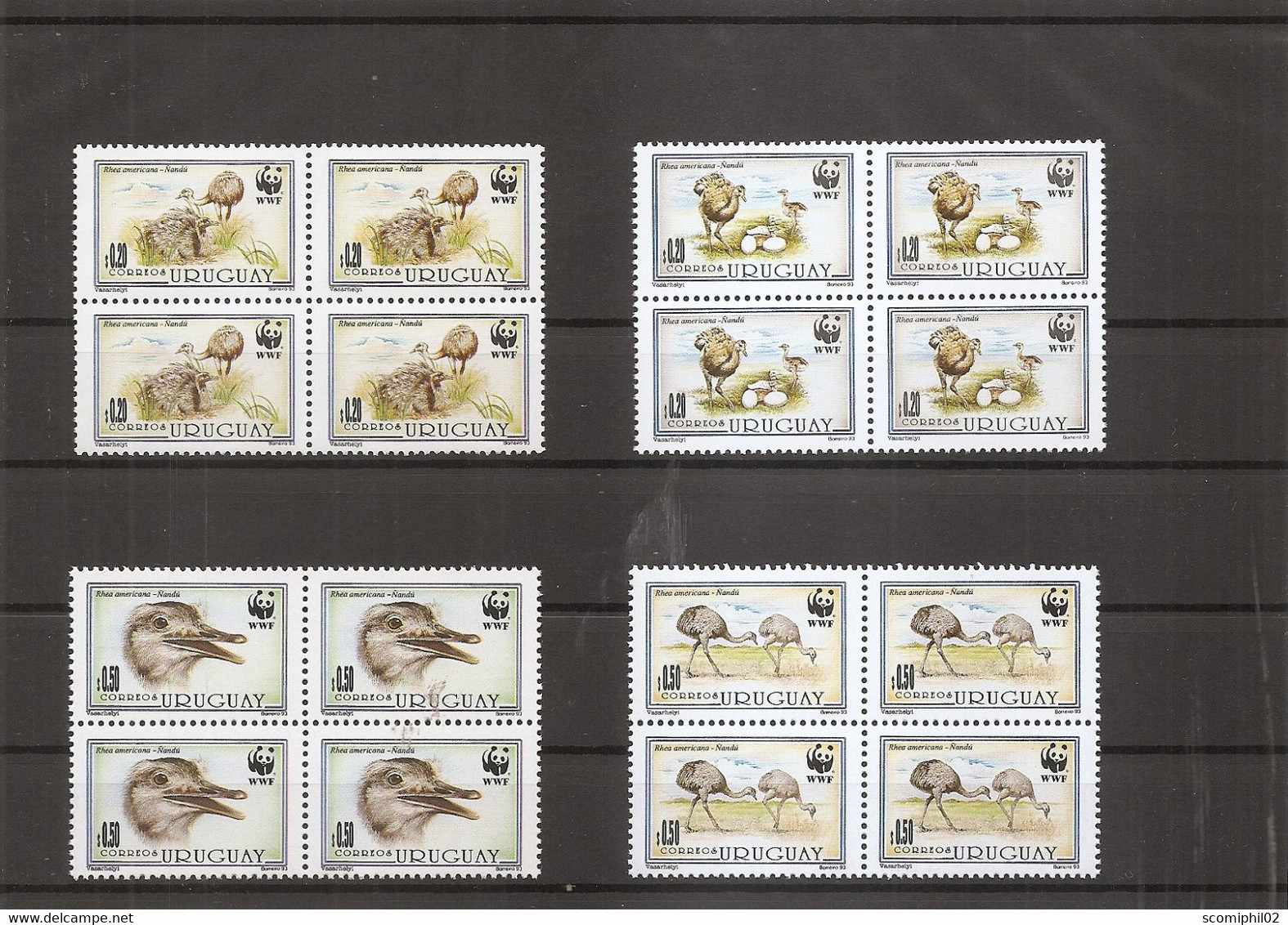 Autruches - WWF ( 1459/1462 D'Uruguay En Blocs De 4 XXX -MNH ) - Straussen- Und Laufvögel