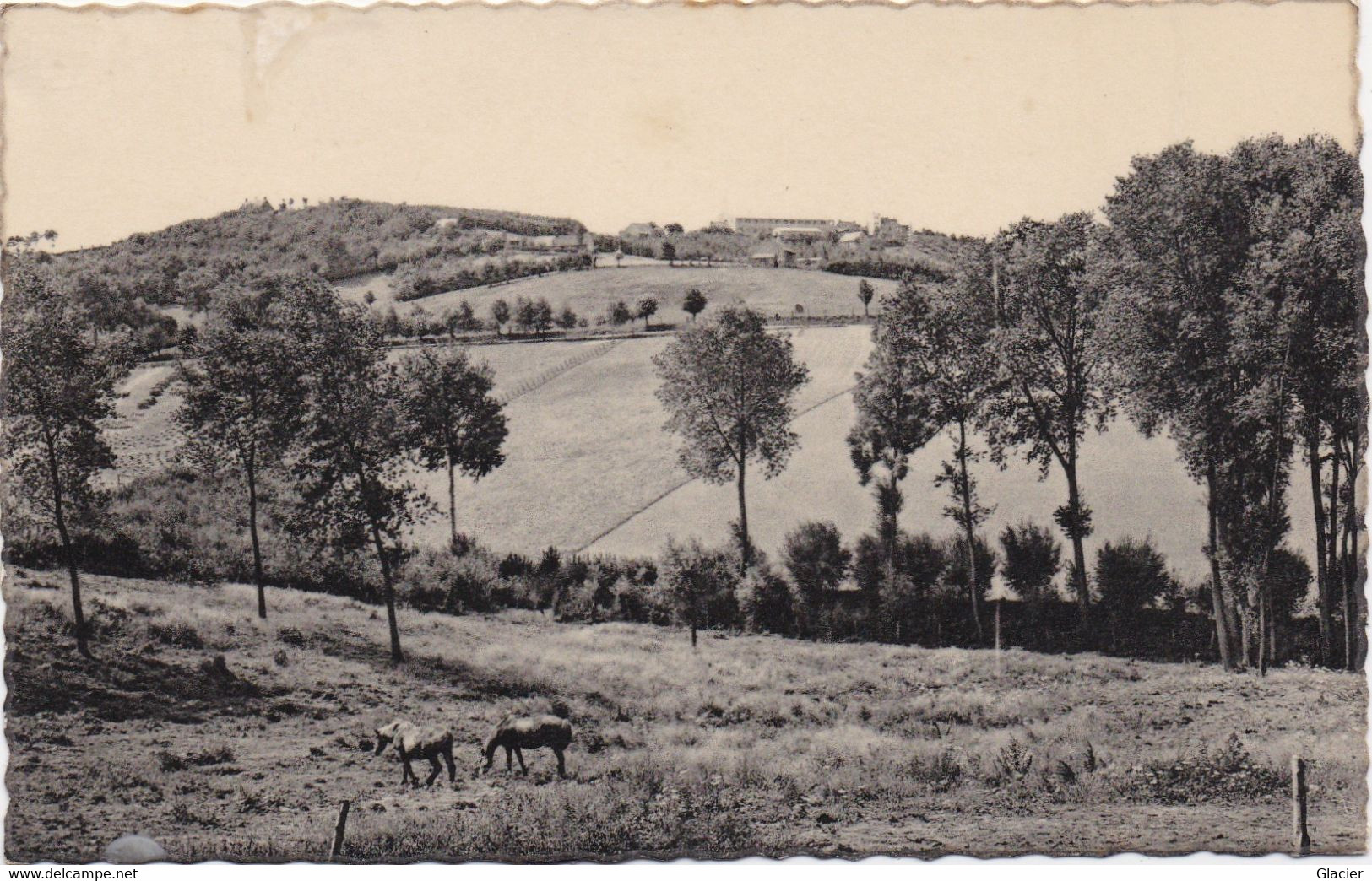 9. - Westouter - Rode Berg Panorama - Mont Rouge - Heuvelland