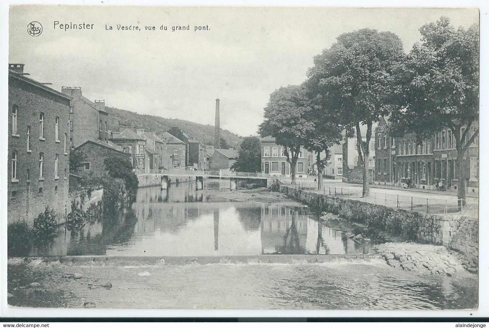 Pepinster - La Vesdre, Vue Du Grand Pont - Pepinster