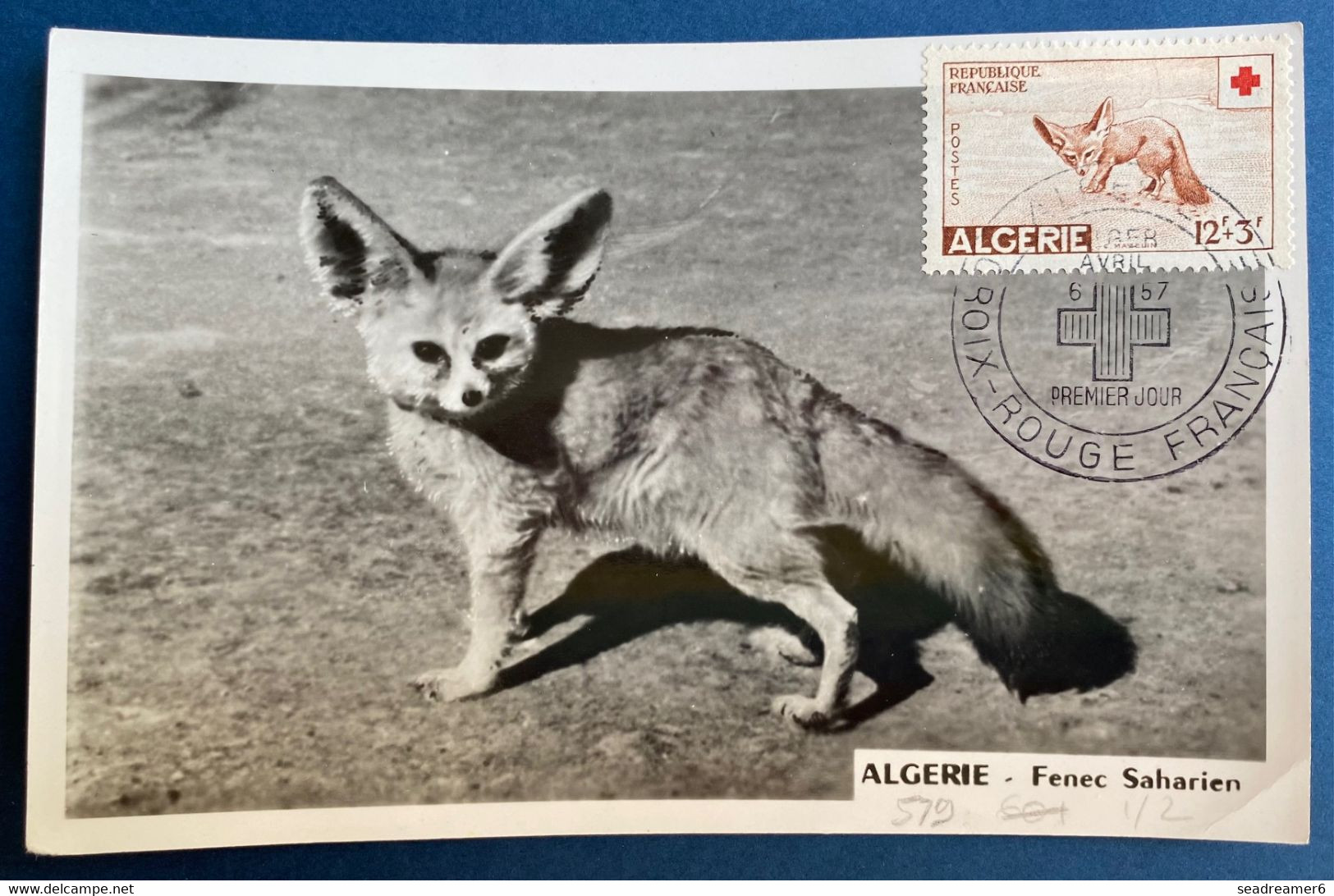 Algerie 2 Photos Du Fenec Et De La Cigogne En 1er Jour Du 6 Avril 1957 Croix Rouge Animaux TTB - FDC