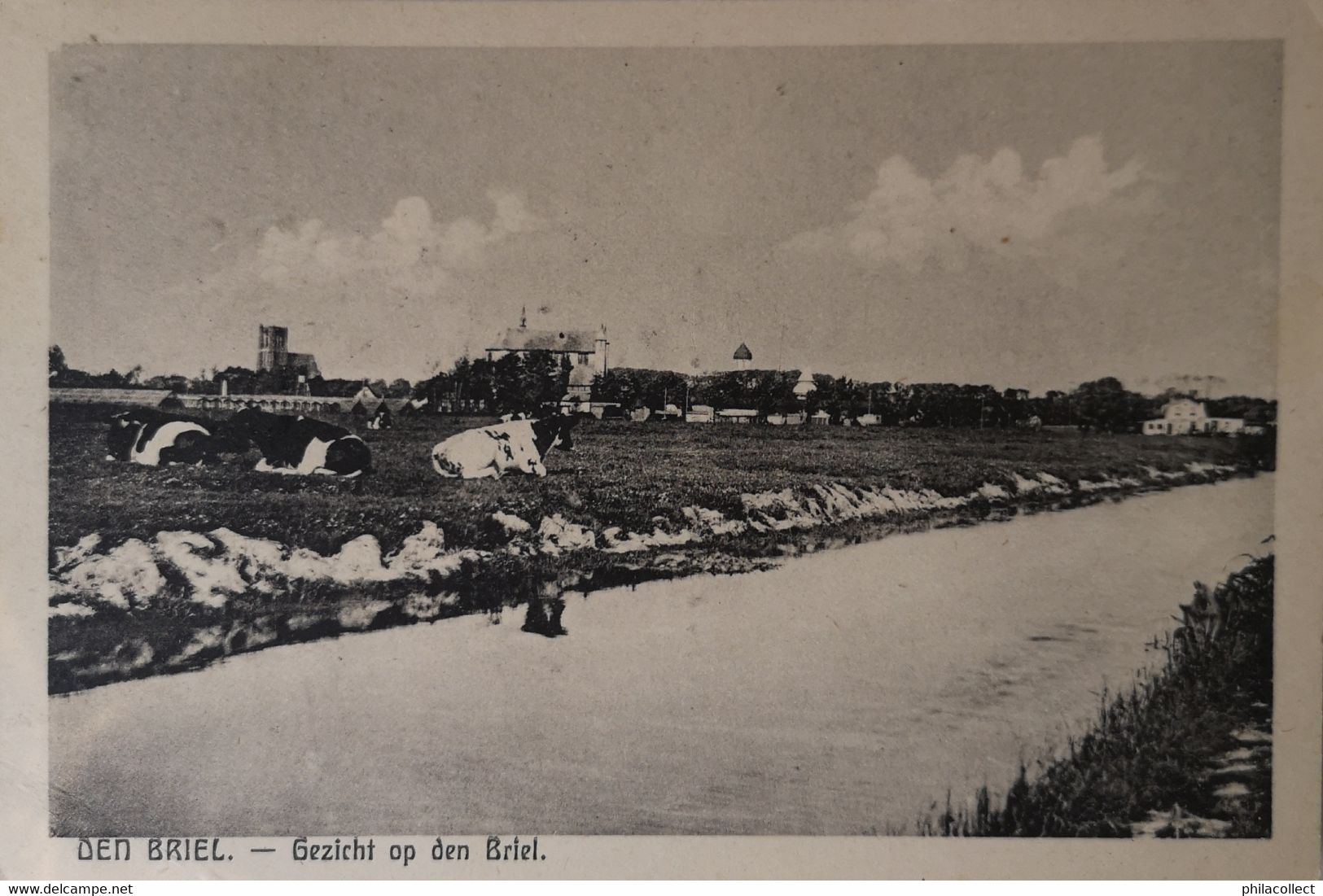 Den Briel ( Brielle)  Gezicht Op Den Briel (Koeien In De Wei) 1945 - Brielle