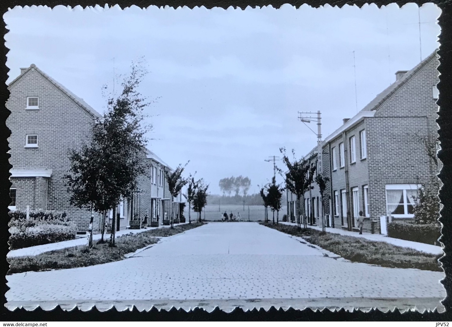 (5963) Zwevegem - Heestert - Nieuwstraat - Zwevegem