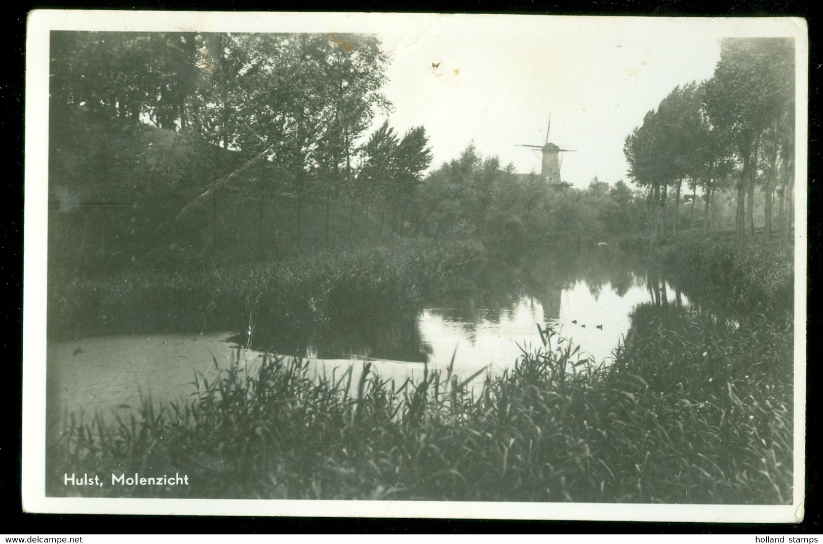 ANSICHTKAART * ZEELAND * HULST * MOLENZICHT * GELOPEN NAAR TILBURG IN 1949 * KNIKJE IN KAART  (3945) - Hulst