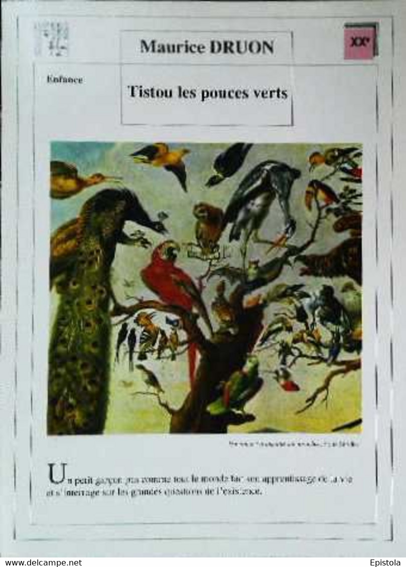 ►   Fiche   Litterature  Maurice Druon  Tistou Les Pouces Verts  Un Concert D'oiseaux Sur Un Arbre Frans Snyders - Didactische Kaarten