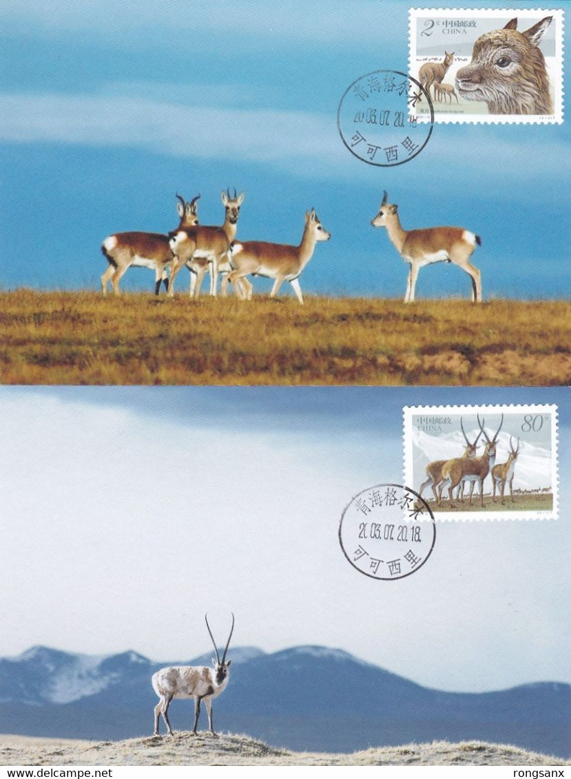 CHINA 2003-12 Tibetan Antelopes 2V LOCAL MC-2 - Cartes-maximum