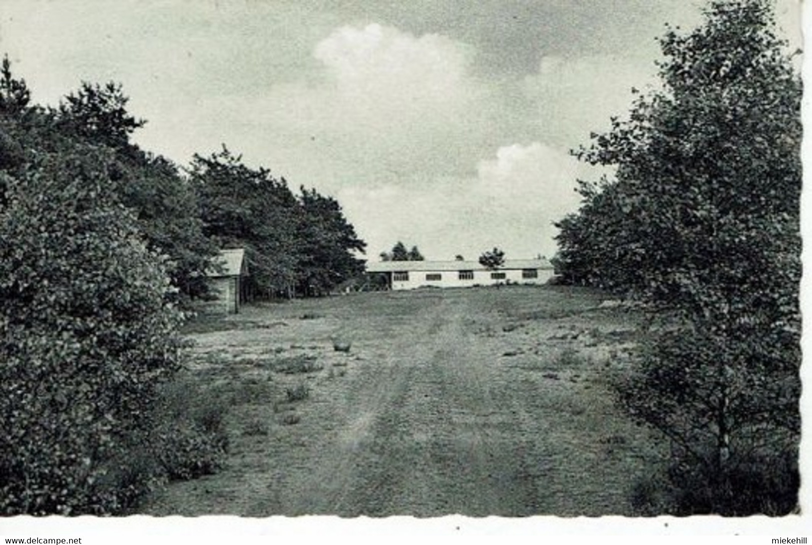 MOL-JEUGDKAMP "DE MAAT"-TERREIN VANLOMMEL - Mol