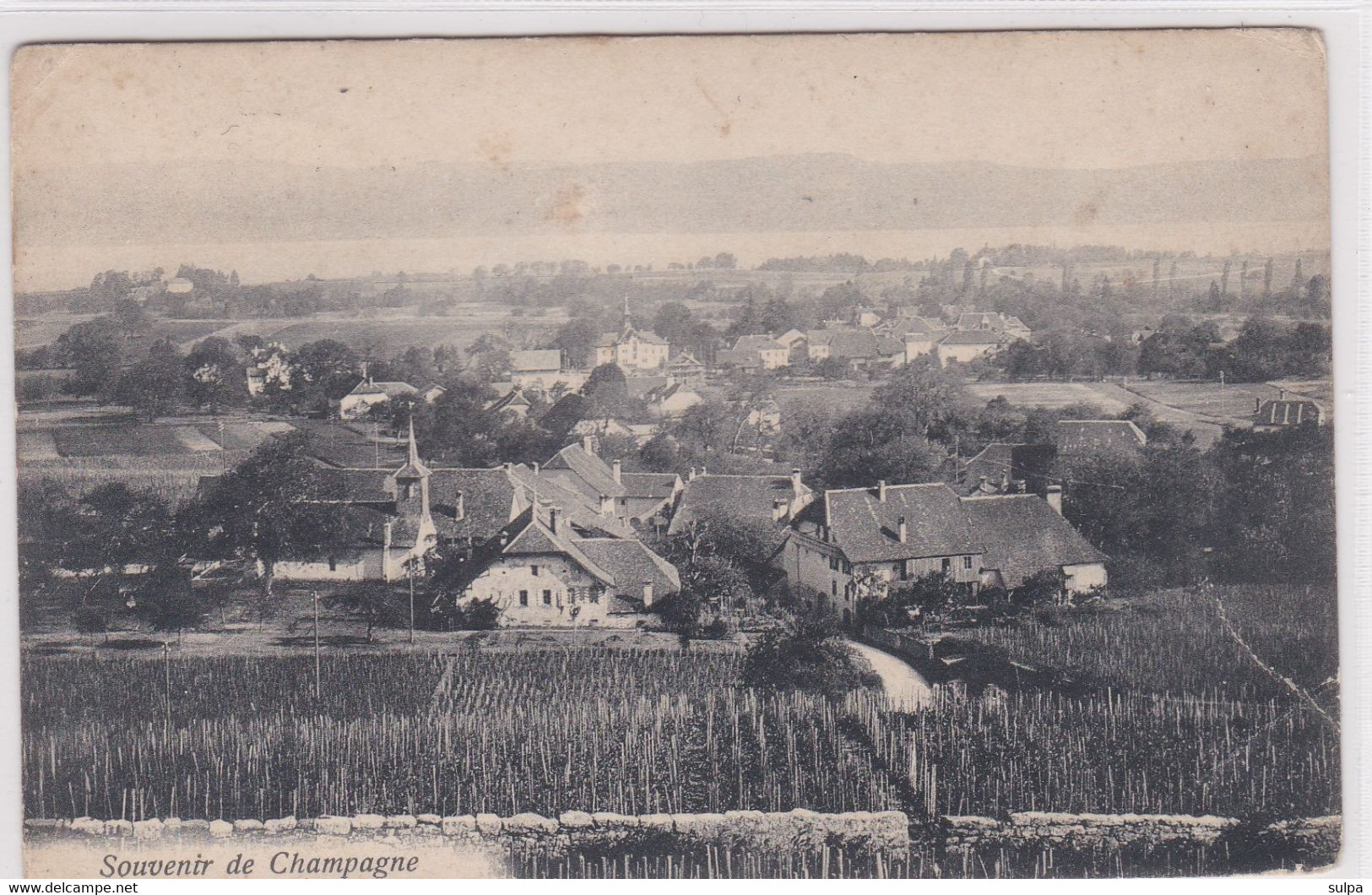 Champagne, Souvenir De...Vignoble - Champagne