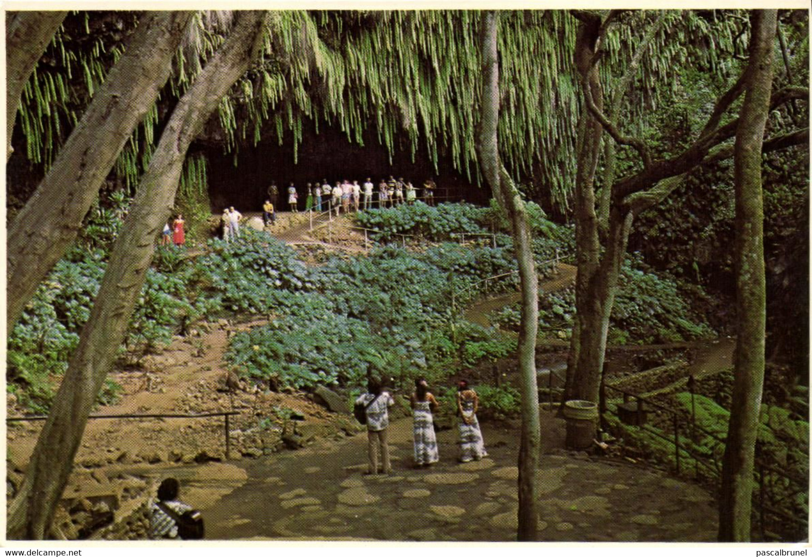 VISITORS BOARD EXCURSION BOATS THAT FERRY THEM UP THE TROPICAL WAILUA RIVER TO THE FERN GROTTO - Big Island Of Hawaii