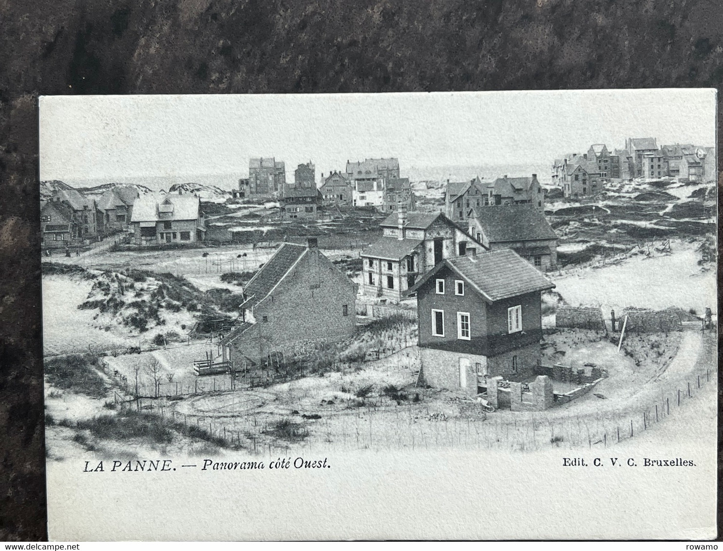 DE PANNE - Panorama (côté Ouest) - De Panne