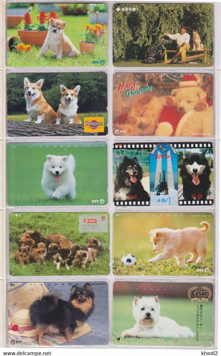 LOT De 50 Télécartes JAPON DIFFERENTES - ANIMAL - CHIEN - DOG DIFFERENT JAPAN Phonecards - 2 - Cani