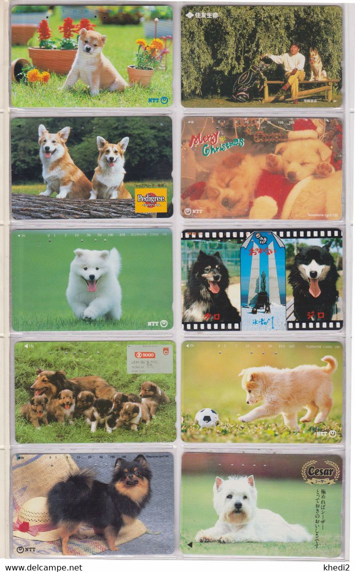 LOT De 50 Télécartes JAPON DIFFERENTES - ANIMAL - CHIEN - DOG DIFFERENT JAPAN Phonecards - 2 - Hunde