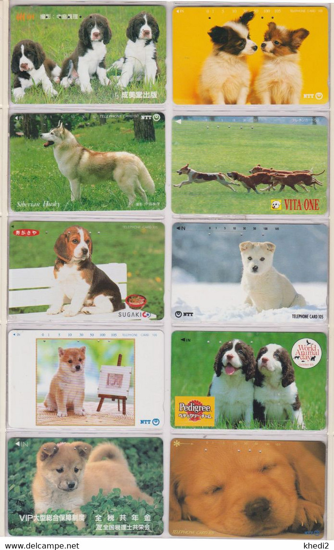 LOT De 50 Télécartes JAPON DIFFERENTES - ANIMAL - CHIEN - DOG DIFFERENT JAPAN Phonecards - 2 - Hunde