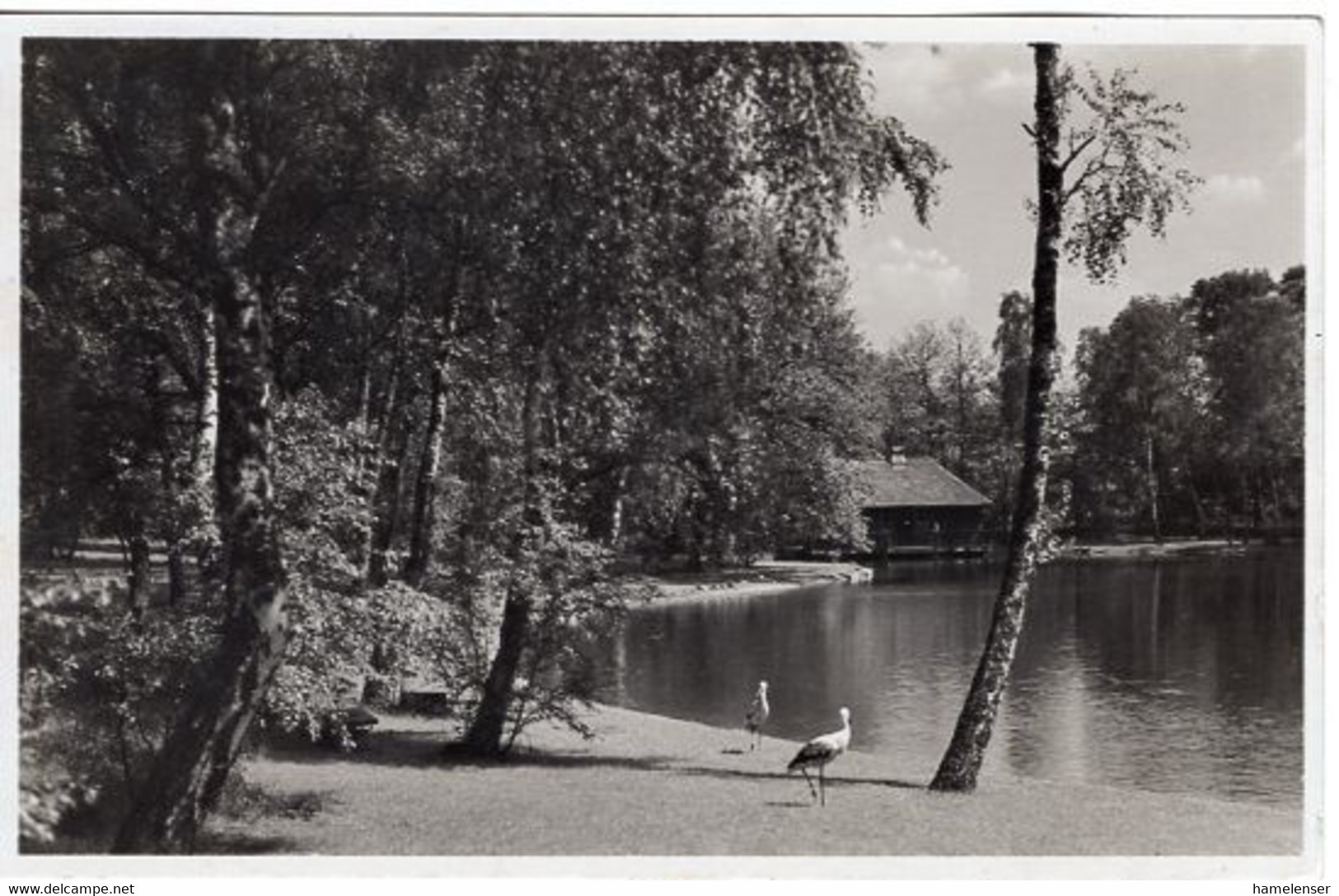 54139 - Deutsches Reich - 1936 - AnsKte "Inf Lehr-Rgt - Olympisches Dorf", Gelaufen - Jeux Olympiques