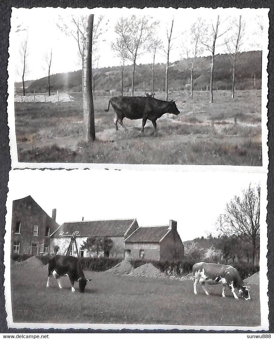 Lot 2 Petites Photos Ben Ahin Siroperie 1933 (11 X 6.7 Cm Velox) Voor ZOOM - Huy