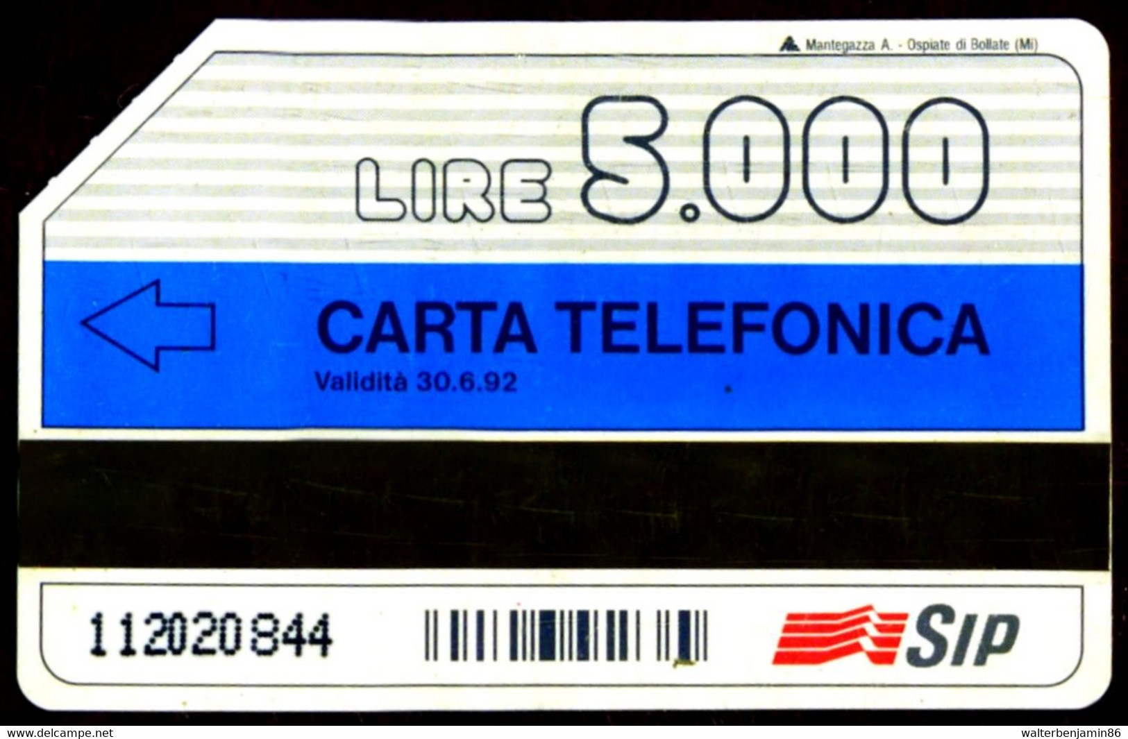 G 96 C&C 2175 2 SCHEDE ITALTEL FAX VARIANTE COLORE E PUNTO NERO SU 5.000 L. LATO A - Errori & Varietà