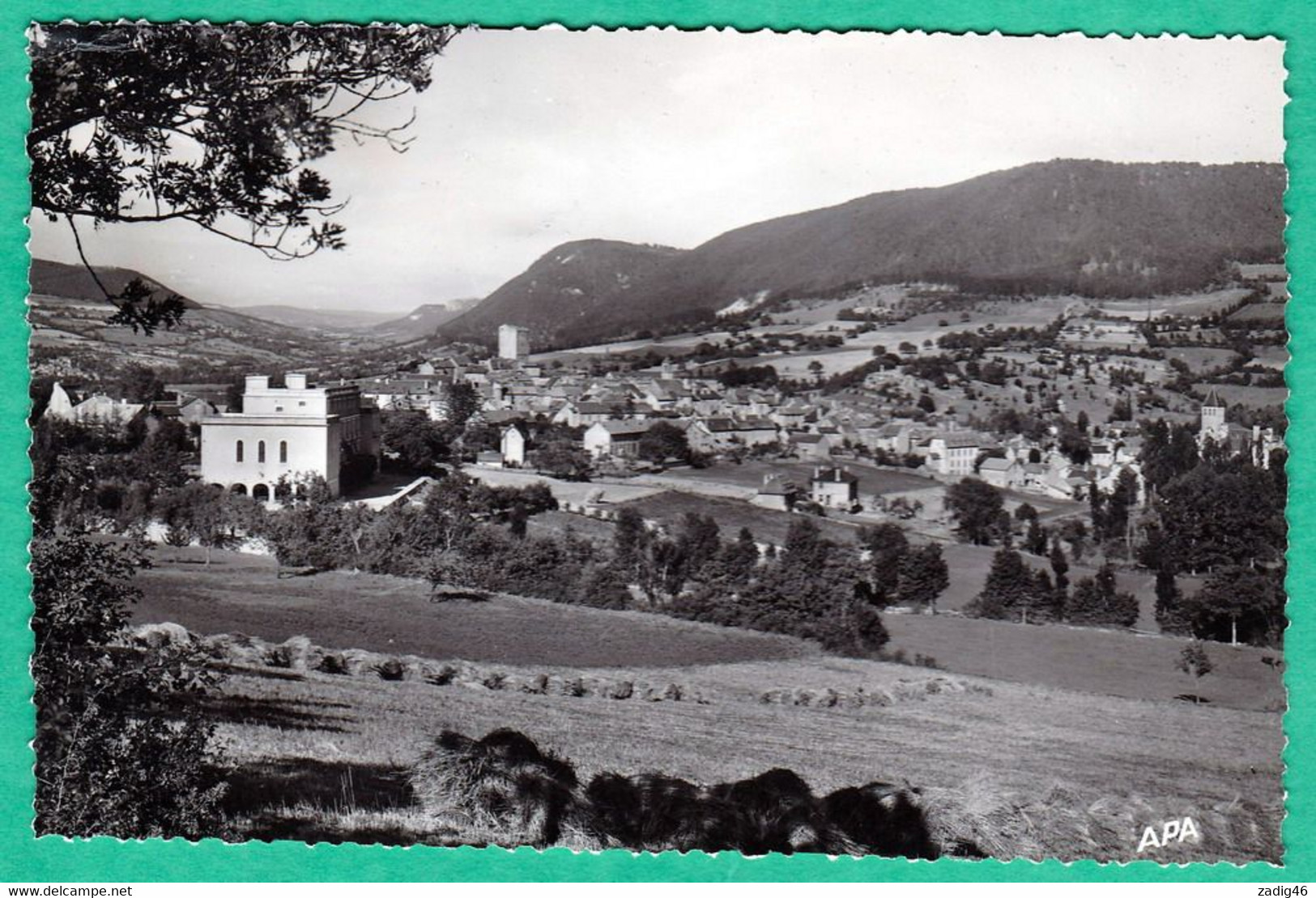 CHANAC - VUE GENERALE ET PANORAMIQUE - CPSM PETIT FORMAT - Chanac