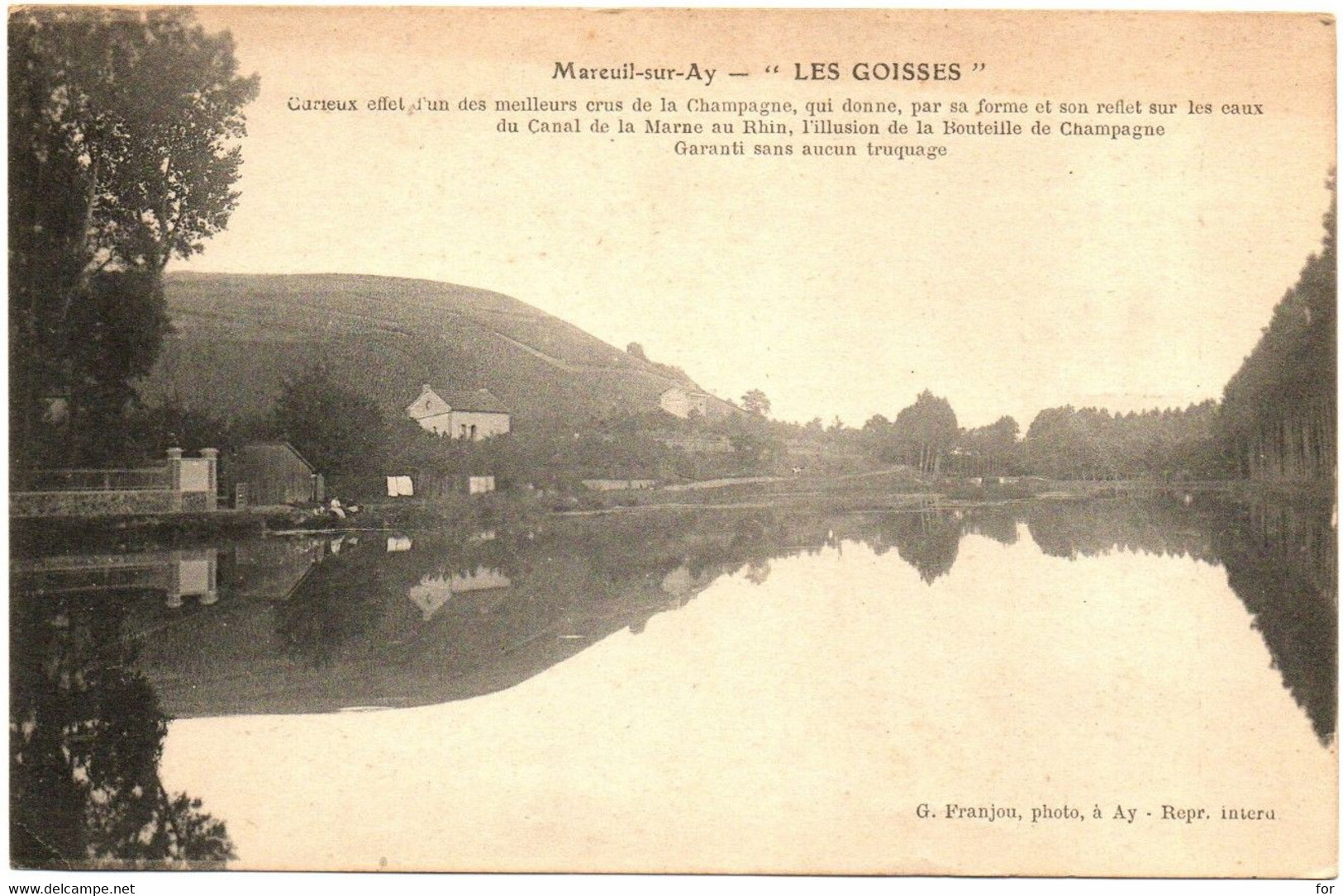 Marne : MAREUIL Sur AY : "  Les Goisses " : Effet De Miroir - Mareuil-sur-Ay