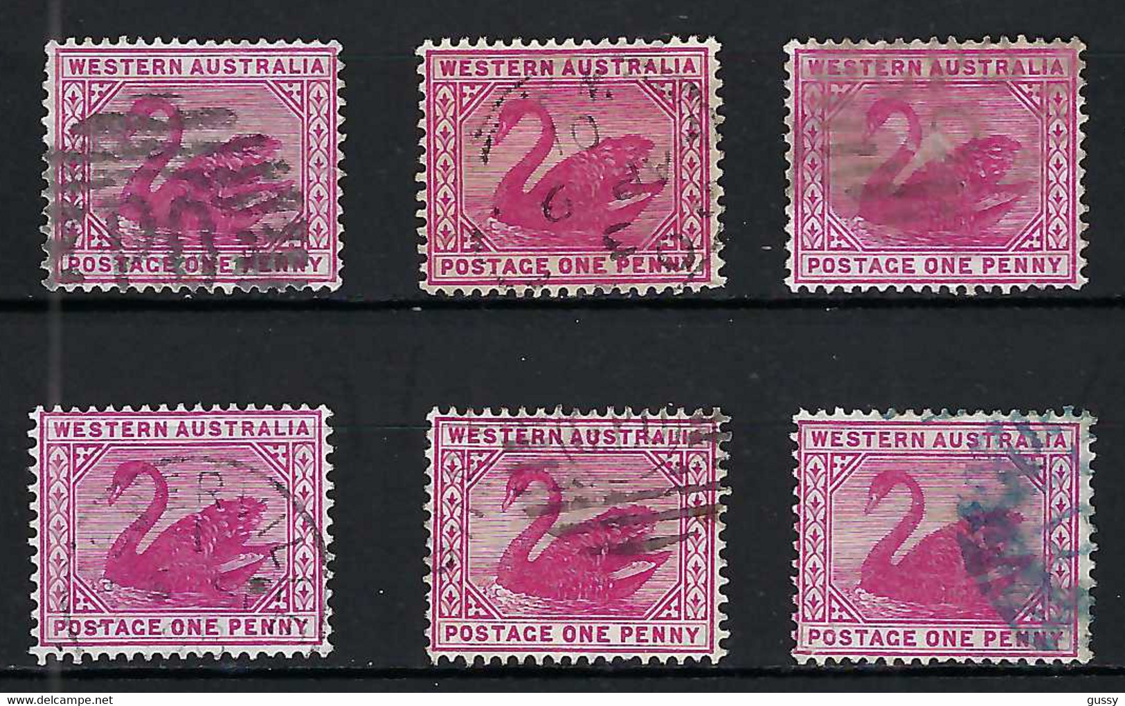 AUSTRALIE Occidentale Ca.1895: Lot Du Y&T 43 Obl. Diverses - Gebruikt