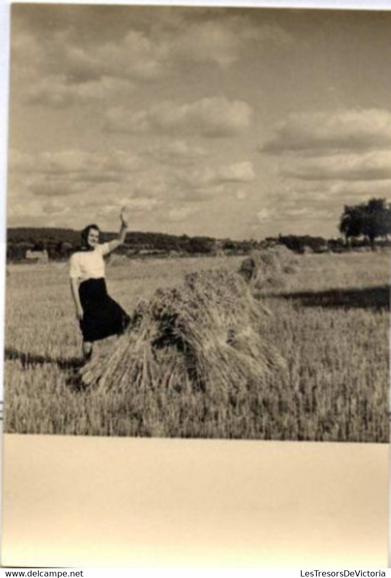 Lot De 2 Photographies Theme Agriculture - Femme Faisant La Moisson - Environs De Paris - Fauche Des Blés - 9x13cm - Mestieri