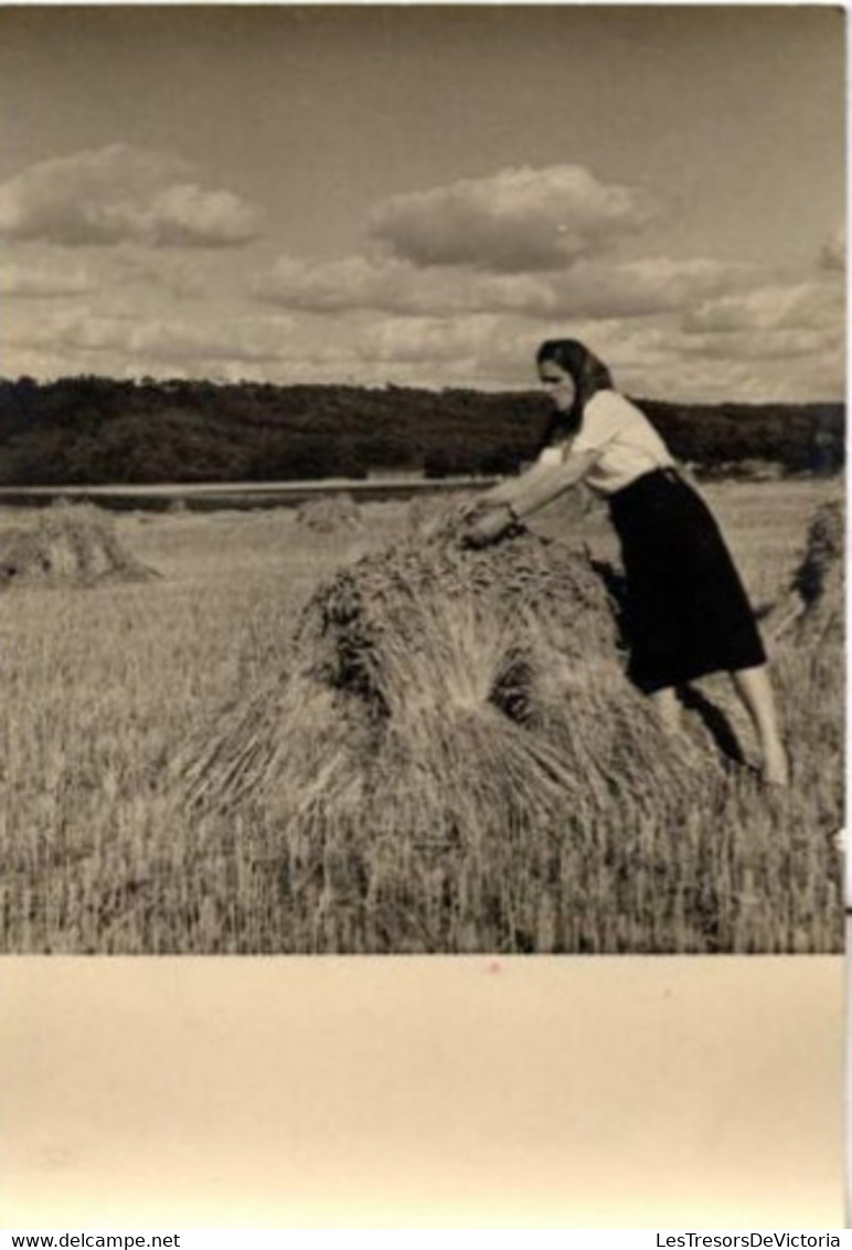 Lot De 2 Photographies Theme Agriculture - Femme Faisant La Moisson - Environs De Paris - Fauche Des Blés - 9x13cm - Métiers