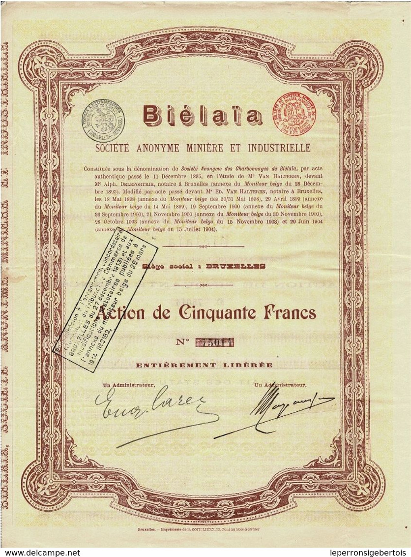 - Titre De 1904 - Biélaïa Société Anonyme Minière Et Industrielle (Donetz)  - N° 75014 - Russia