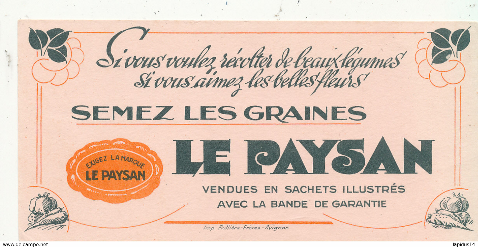 BU 2583 /   BUVARD  SEMEZ LES GRAINES LE PAYSAN        ( 20,00 Cm X 10,00 Cm) - Agriculture