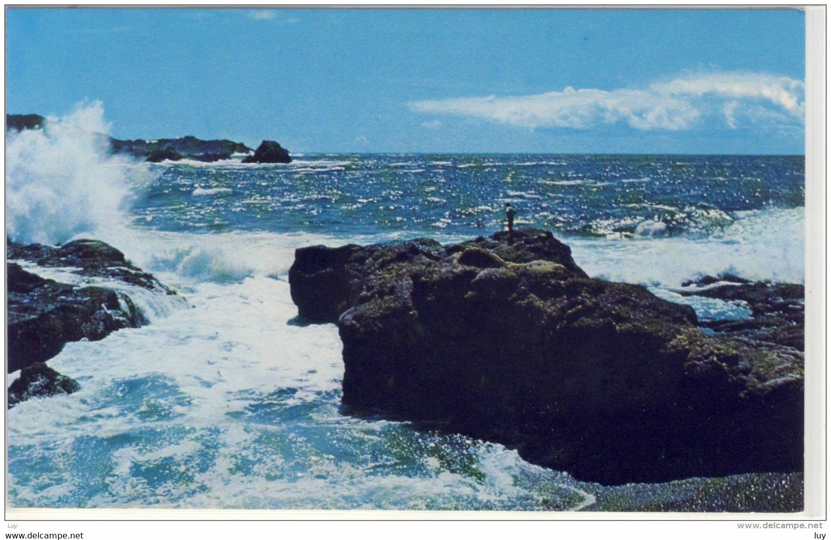 BIG SUR, California, POINT LOBOS - Dramatic Meeting Of Land And Sea - American Roadside