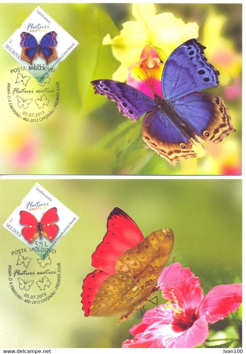 2013. Moldova, Exotic Butterflies, From The Collection Of Nationl Museum,  4 Maxicards,  Mint/** - Moldova