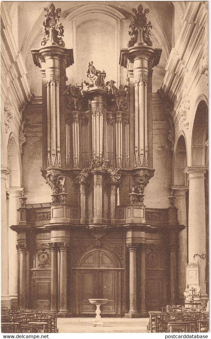 Ninove - Parochiale Kerk - & Orgel, Organ, Orgue - Ninove