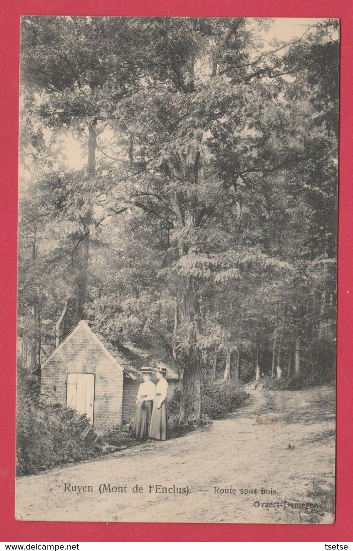 Ruien / Ruyen - Route Sous Bois ( Verso Zien ) - Kluisbergen