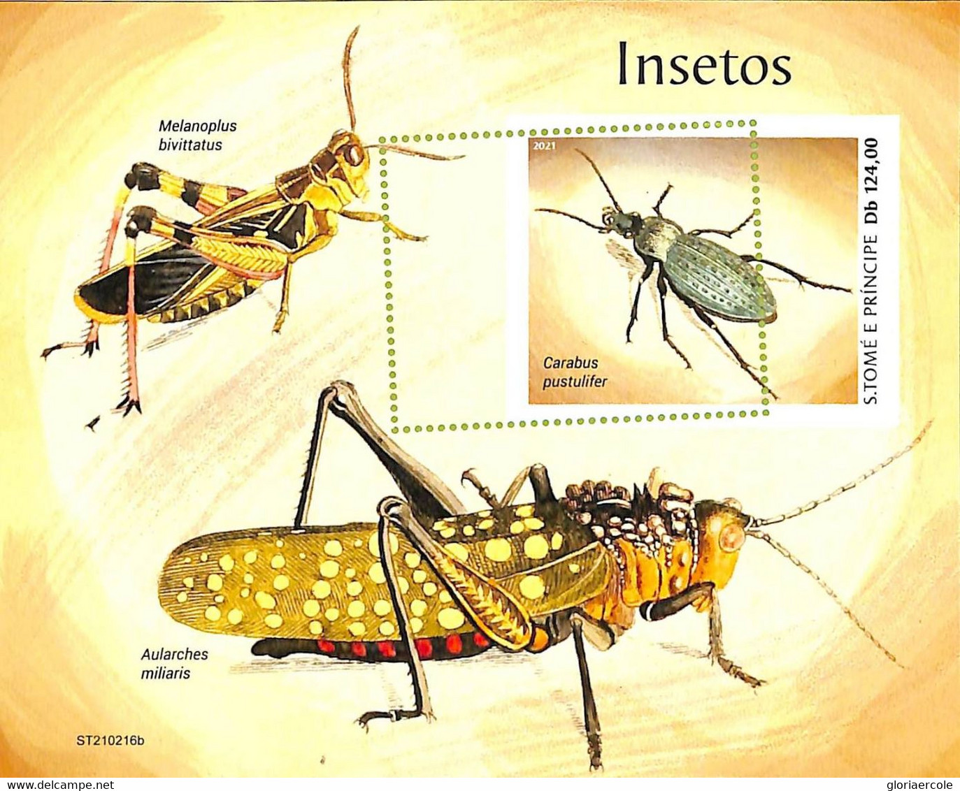 A8606 - S.TOME -ERROR MISPERF  Stamp Sheet - 2021 Insects - Schmetterlinge