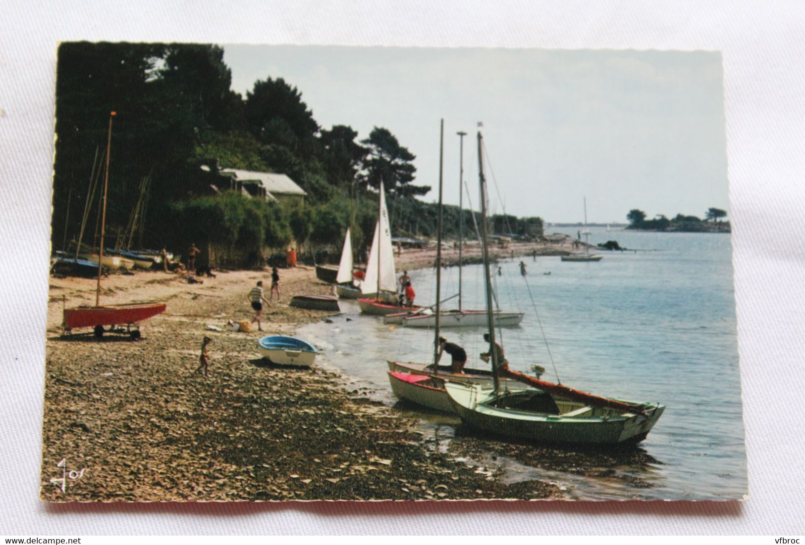 Cpm, Arradon, La Plage Et L'école De Voile, Morbihan 56 - Arradon