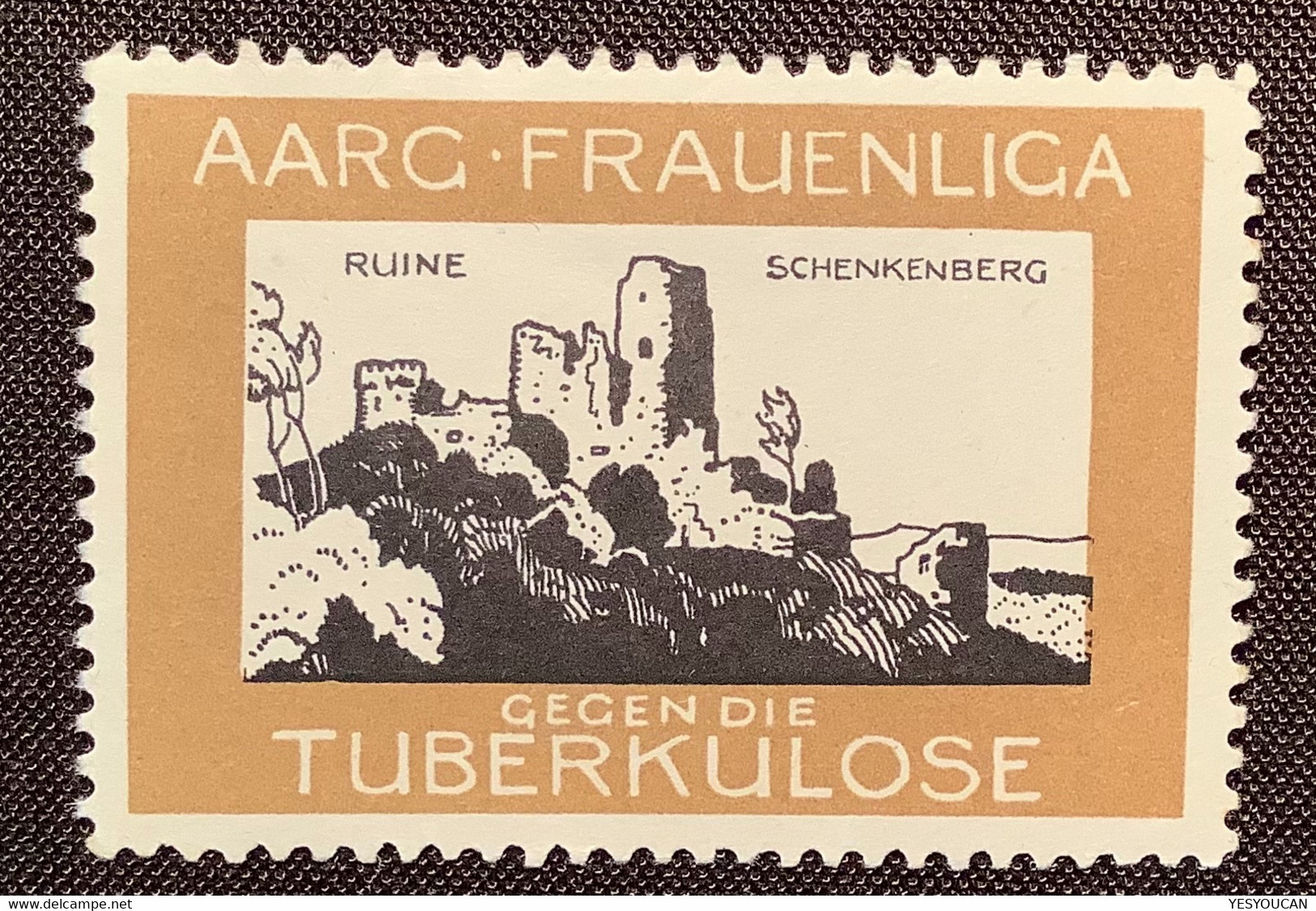 AARGAU FRAUENLIGA GEGEN DIE TUBERKULOSE Spendenmarke SCHLOSS SCHENKENBERG SCHWEIZ (tuberculosis Tuberculose Vignette - Unused Stamps