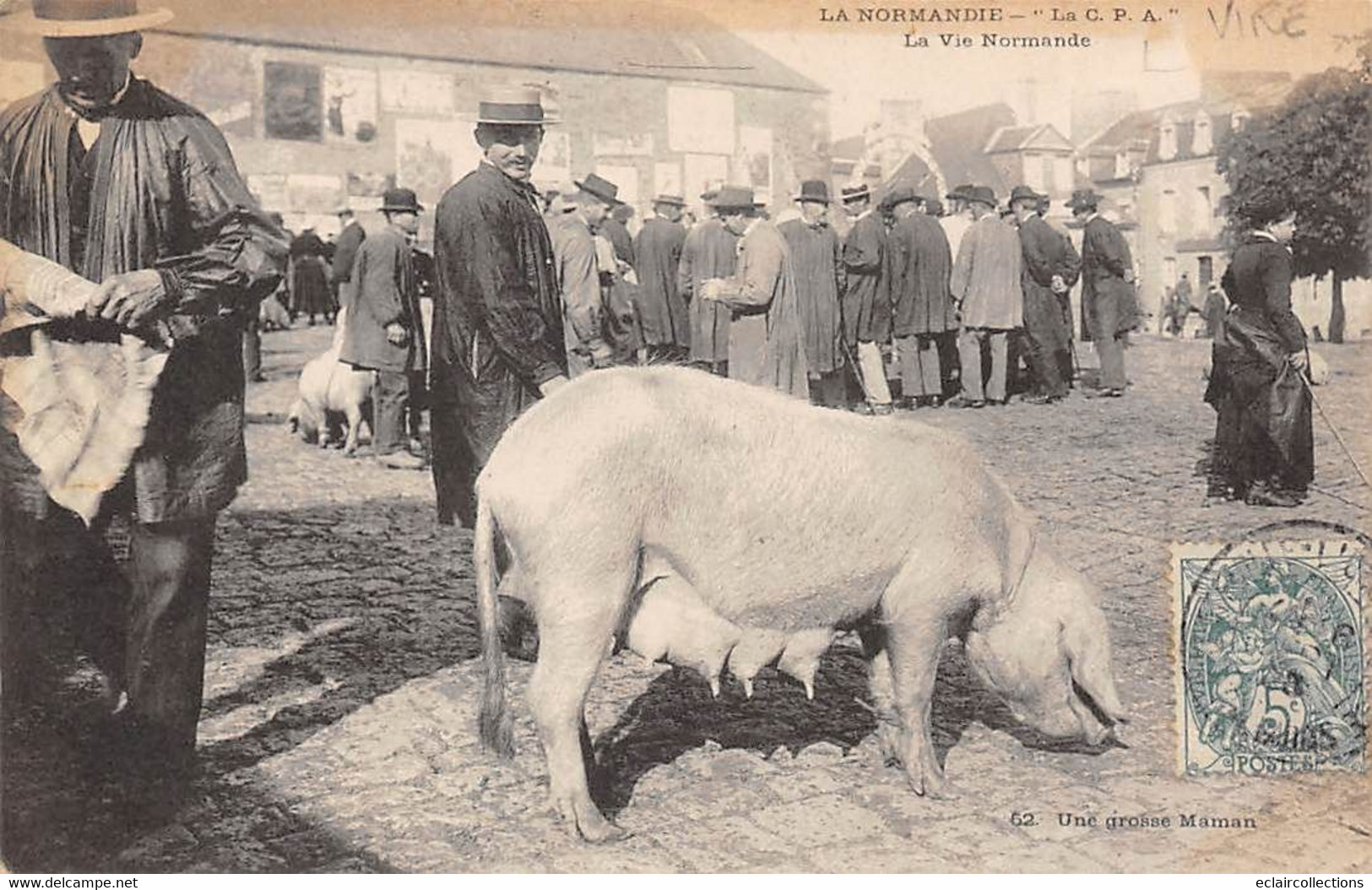 Vire         14            La Vie Normande      Le Marché  Une Truie       (voir Scan) - Vire