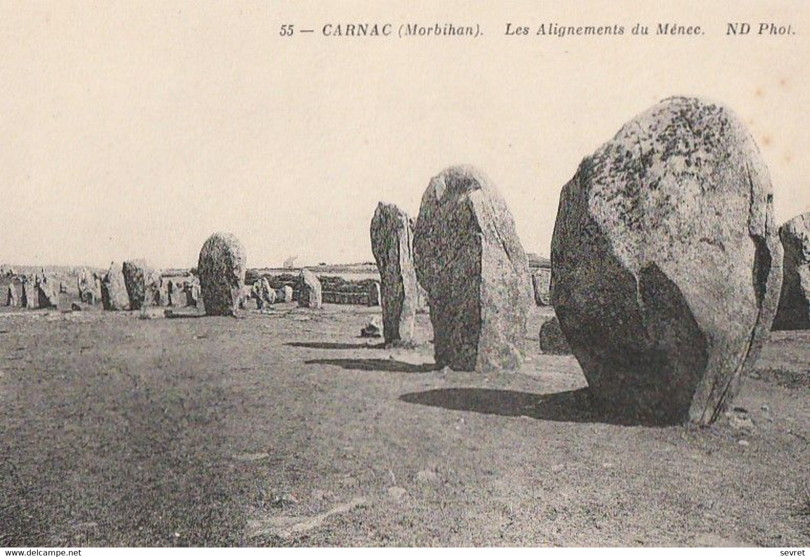 CARNAC. - Les Alignements Du Ménec - Dolmen & Menhire