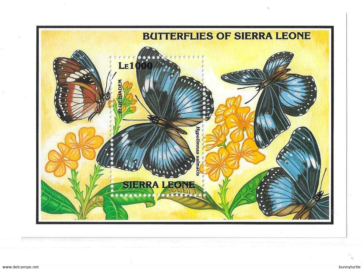 Sierra Leone 1993 Butterfly Butterflies S/S MNH - Sierra Leone (1961-...)