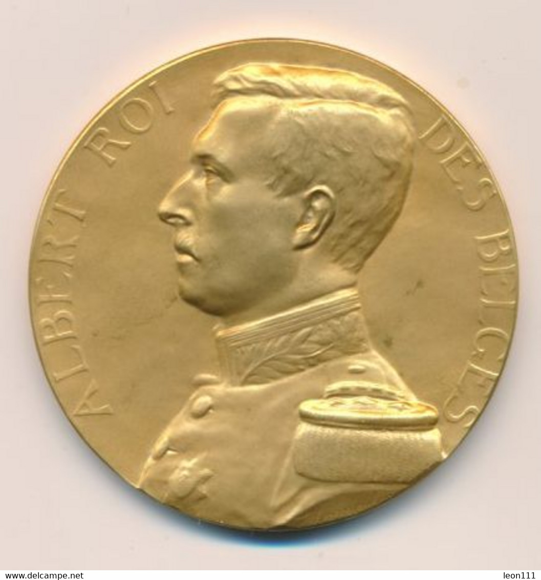 Médaille F. Vermeylen - Albert Roi Des Belges - Avec Boiîter - Royal / Of Nobility