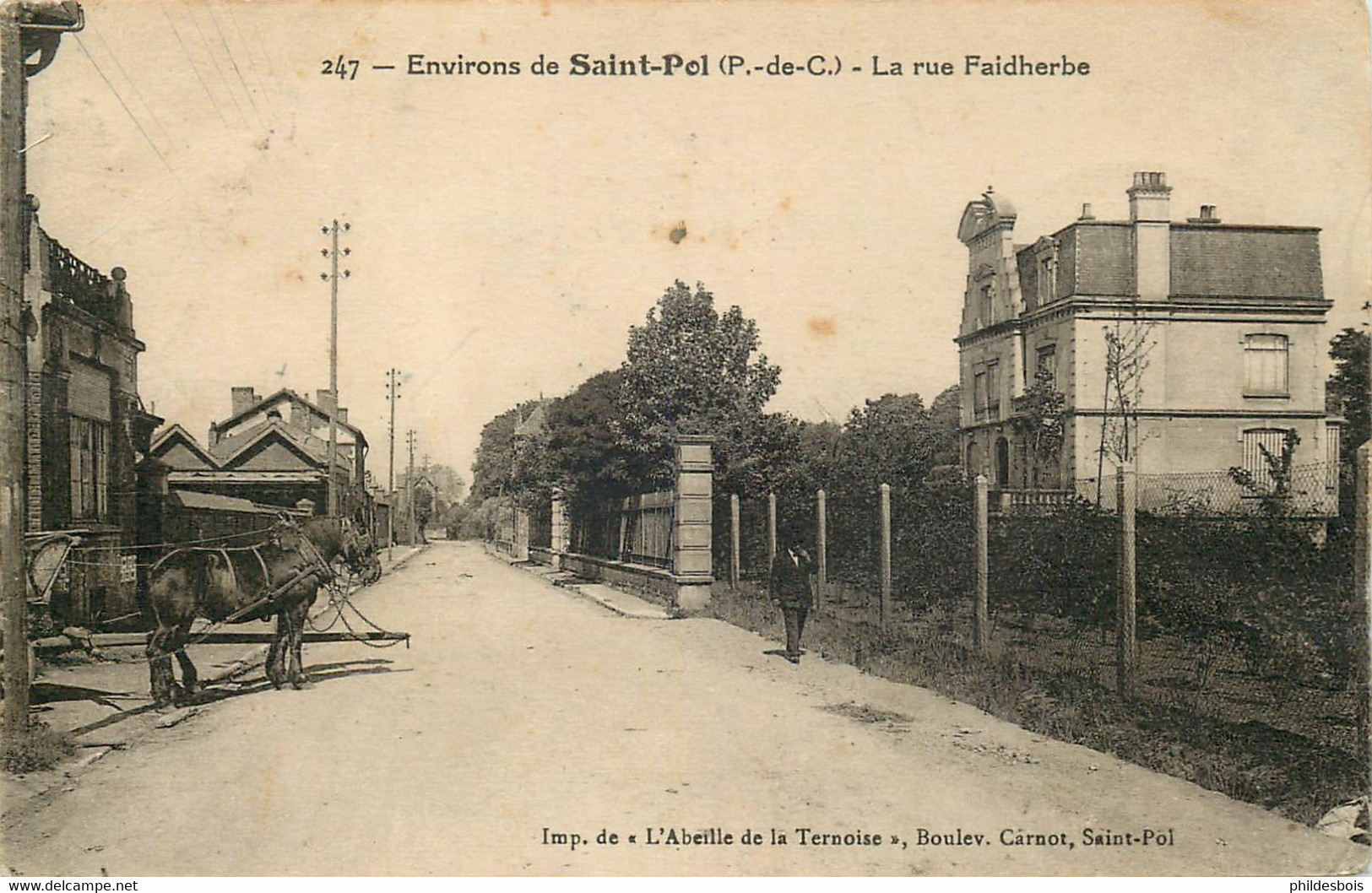 PAS DE CALAIS  SAINT POL SUR TERNOISE  La Rue Faidherbe - Saint Pol Sur Ternoise