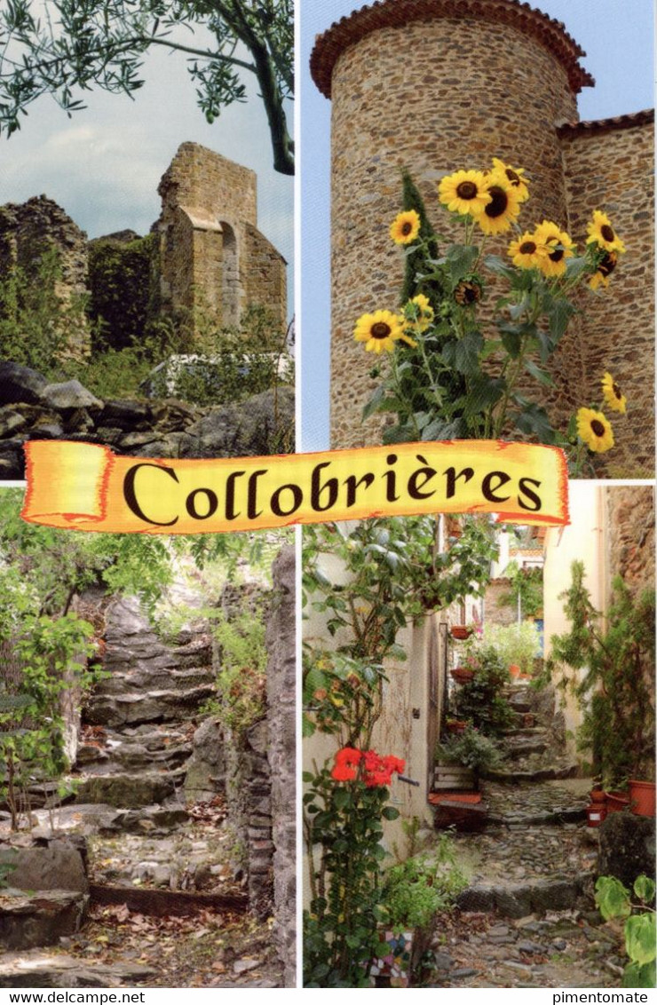 COLLOBRIERES CAPITALE DES MAURES - Collobrieres