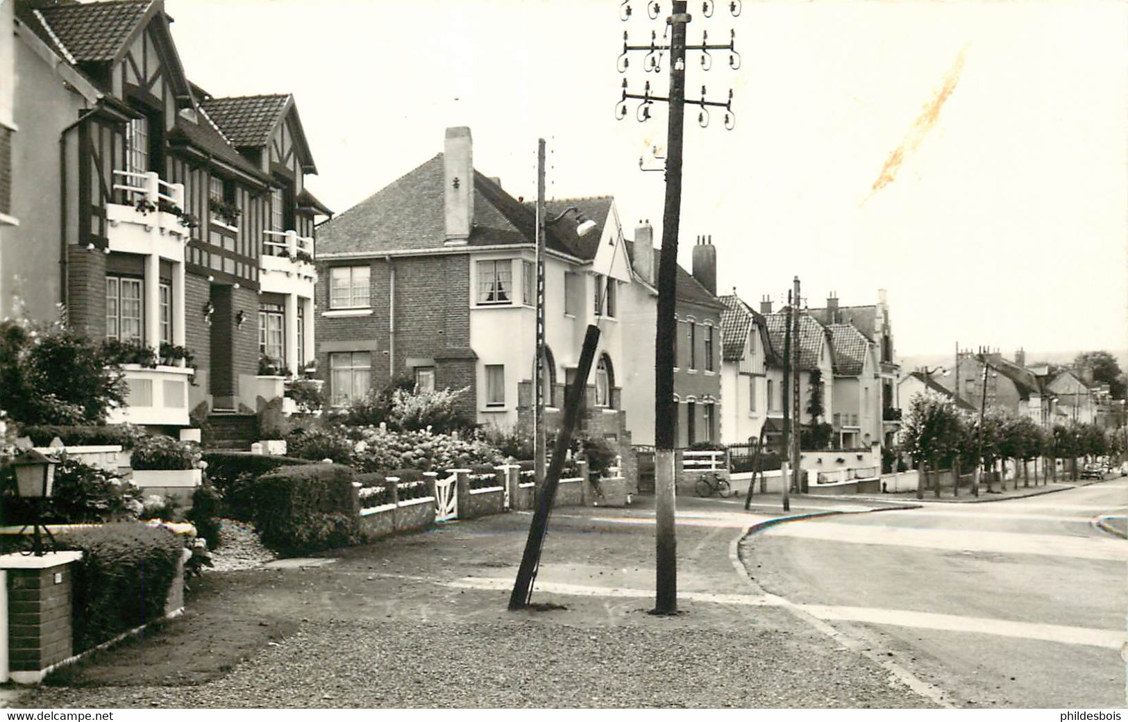 PAS DE CALAIS HESDIN  Avenue Sainte Austreberthe ( Cpsm ) - Hesdin