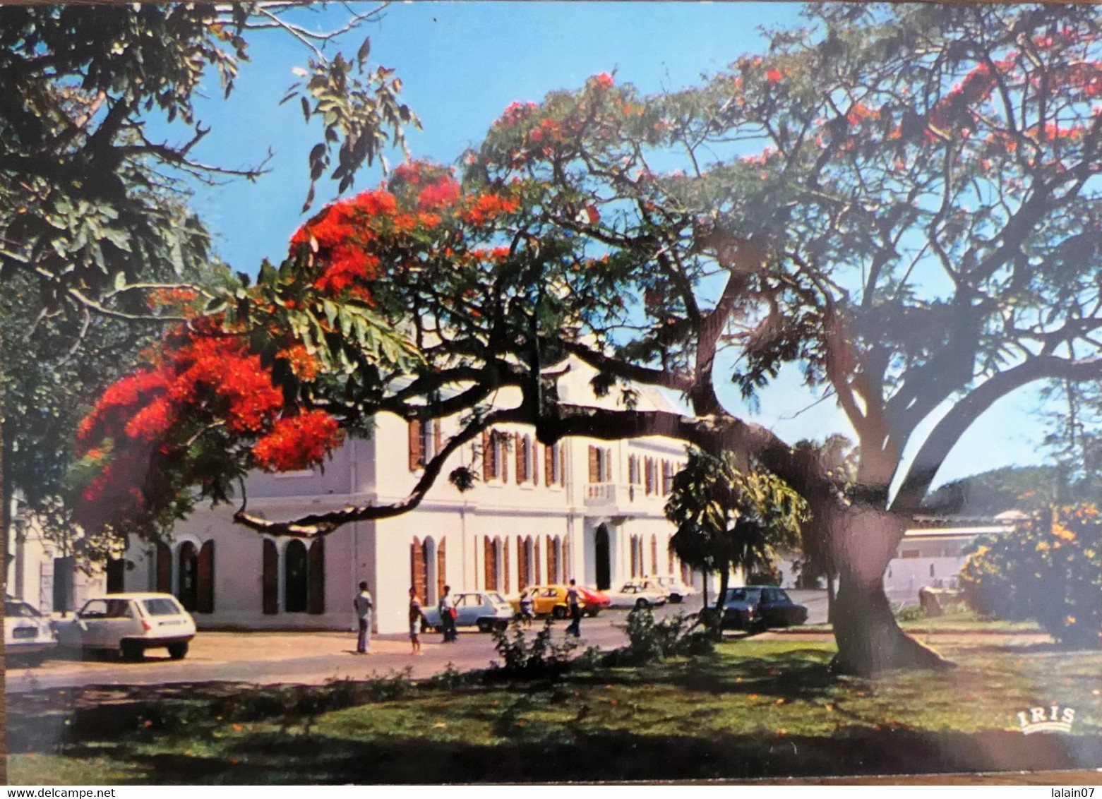 Carte Postale : Ile De La Réunion : SAINT-PIERRE : La Mairie - Saint Pierre