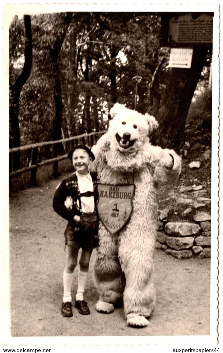 Carte Photo Originale Déguisement D'Ours Polaire Eisbär " Bad Harzburg " En Forêt Et Jeune Autrichien Vers 1950. - Persone Anonimi