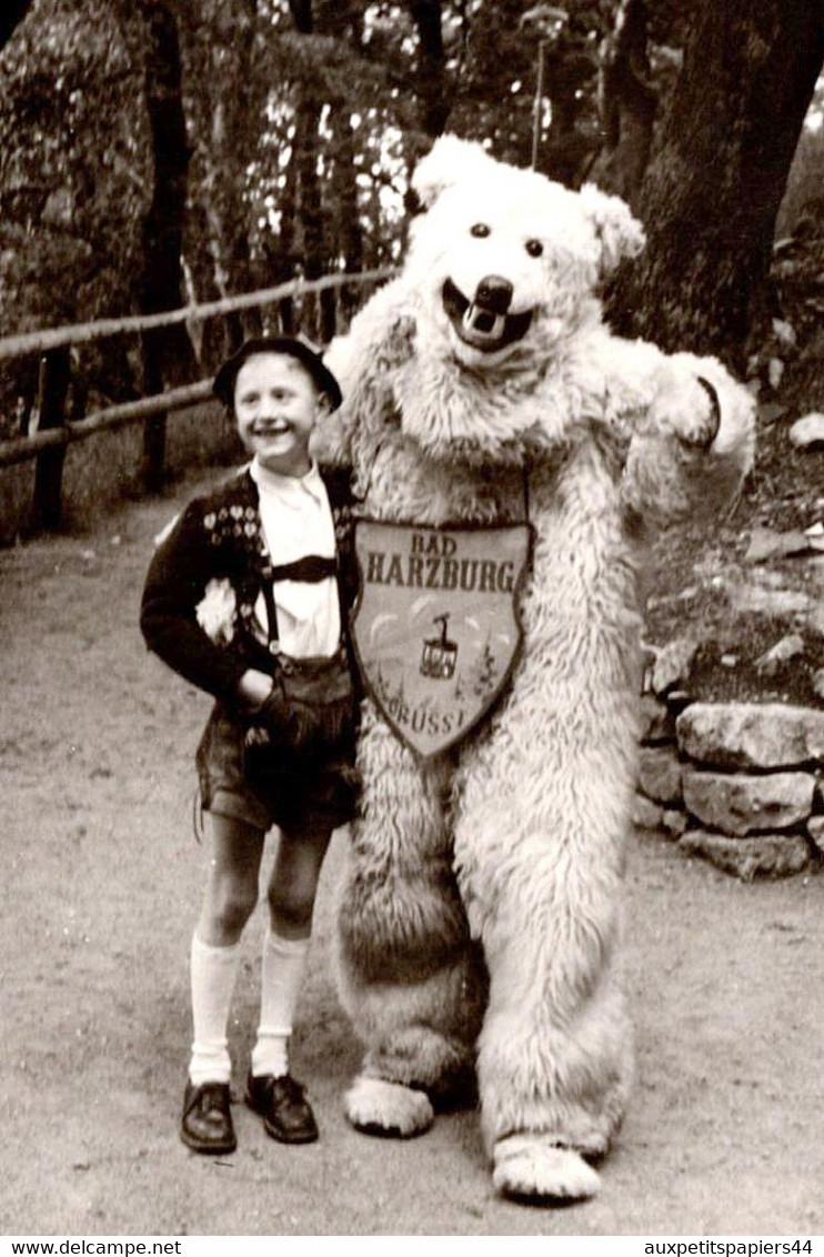 Carte Photo Originale Déguisement D'Ours Polaire Eisbär " Bad Harzburg " En Forêt Et Jeune Autrichien Vers 1950. - Persone Anonimi