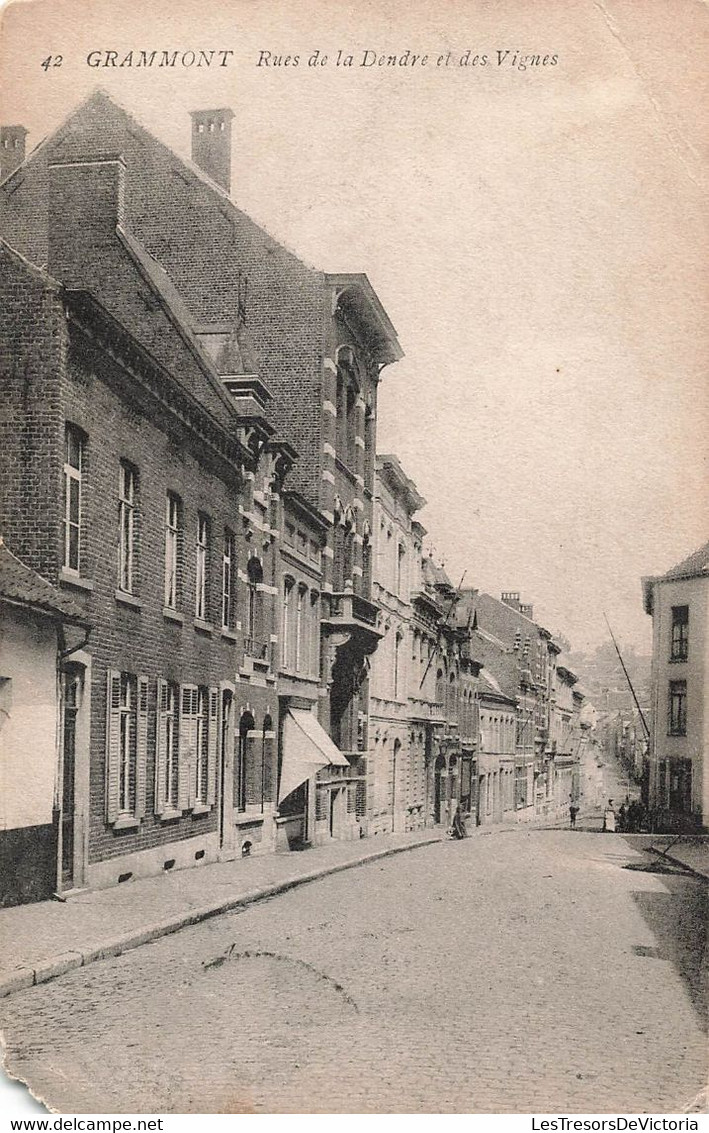 CPA Grammont  - Rues De La Dendre Et Des Vignes - Oblitéré A Grammont En 1911 - Geraardsbergen