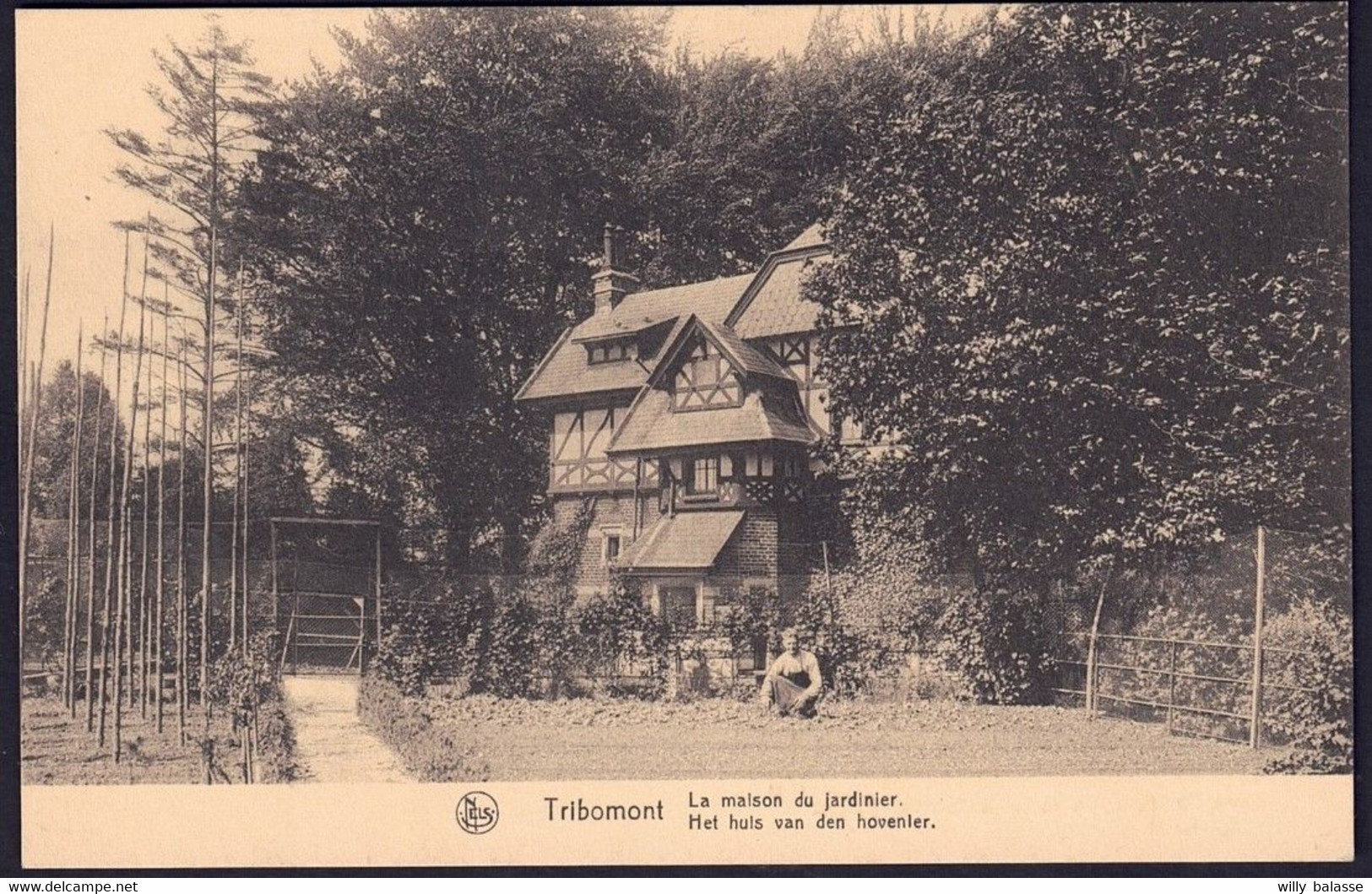 +++ CPA - TRIBOMONT - La Maison Du Jardinier   // - Pepinster