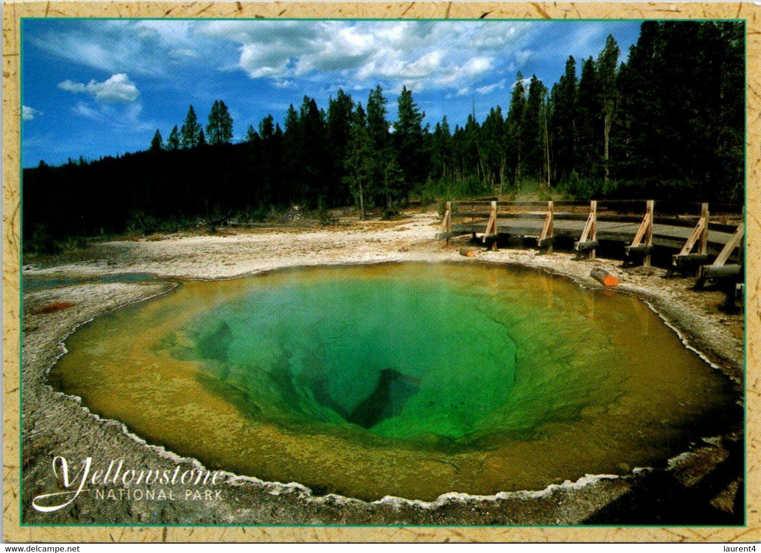 (1 J 6) USA - Yellowstone National Park (Morning Glory Pool) - Yellowstone