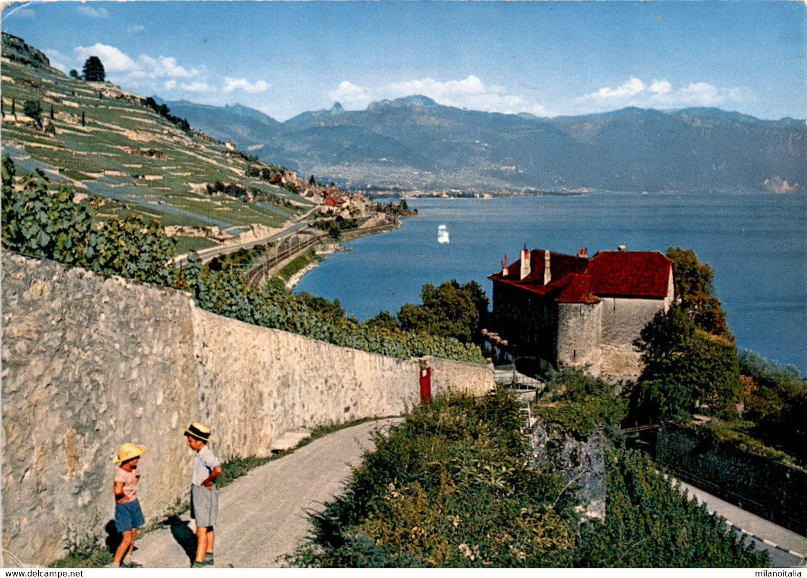 Le Lavaux - Le Chateau De Glerolles Pres Rivaz (5476) * 22. 11. 1972 - Rivaz