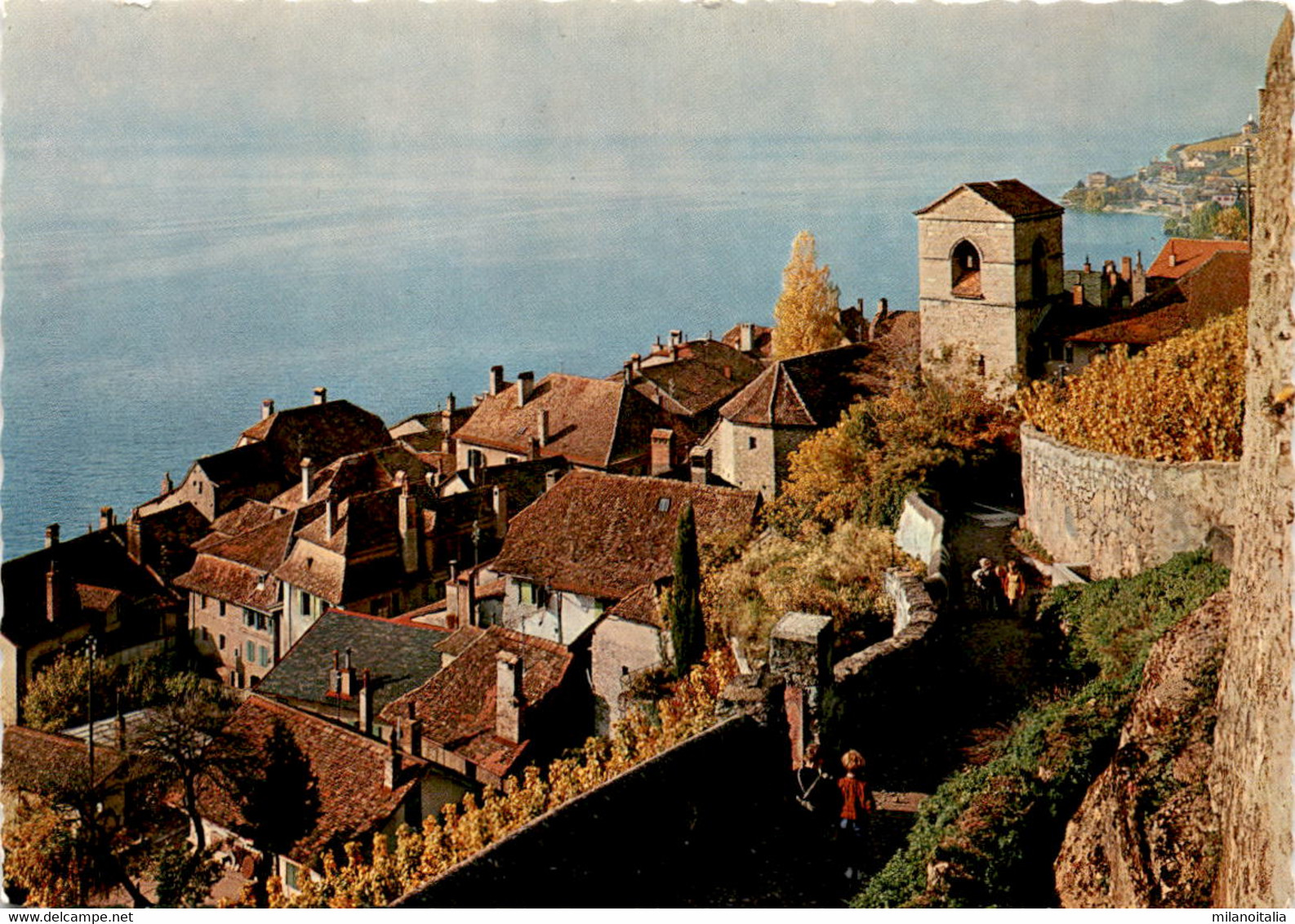 Le Lavaux, Saint-Saphorin (25) - Saint-Saphorin